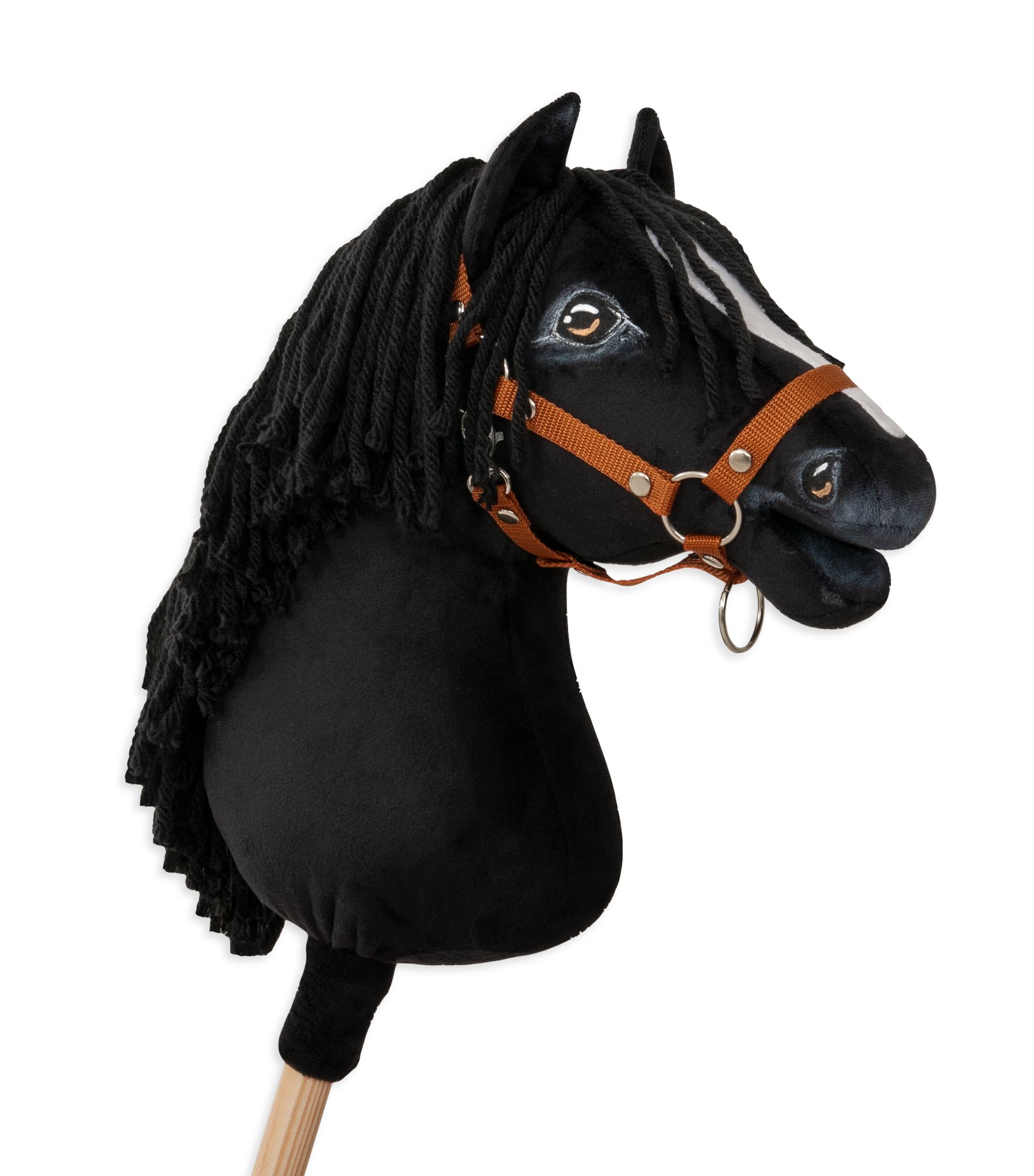 Steckenpferd