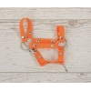 Halfter für Steckenpferd A4 klein - orange