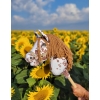 Hobby Horse Steckenpferd brauner Leopard Pferd mit brauner Mähne A4
