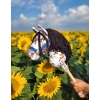 Hobby Horse Steckenpferd brauner Leopard Pferd mit schwarzer Mähne A4