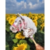 Hobby Horse Steckenpferd brauner Leopard Pferd mit weißen Mähne A4