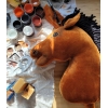 Hobby Horse Steckenpferd Pferd am Stiel Premium - hellbraunes Pferd
