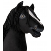 Steckenpferd mit weißer Blesse