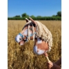 Hobby Horse Steckenpferd Tobiano mit beiger Mähne