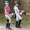 Budget Hobby Horse große A3 Weiß Braun Schecke