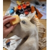 Hobby Horse Steckenpferd Pferd am Stiel Premium - Cremello Pferd