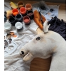 Hobby Horsing Steckenpferd Pferd am Stiel Premium - Gelbbraunes Pferd