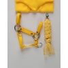 Halfter mit Anbindestrick aus Kordel für Hobby Horse A3 - gelb