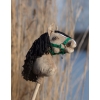 Steckenpferd für Sport Hobbyhorse -graubraunes A4