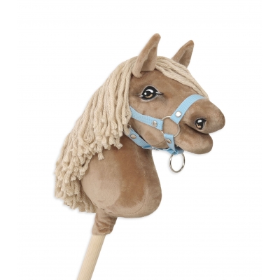 Steckenpferd für Sport