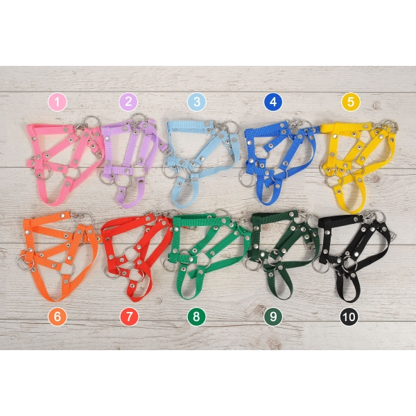 Hobby Horse Halfter orange