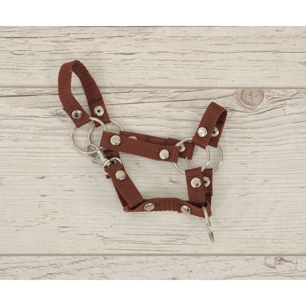 Halfter für Hobby Horse A4 klein - brown