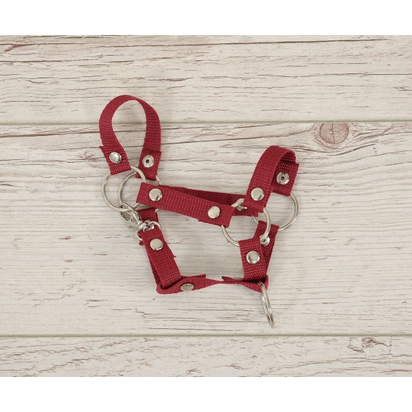 Halfter für Hobby Horse A4 klein - Rotbraun