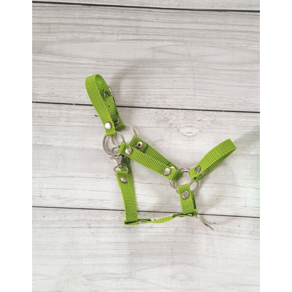 Halfter für Steckenpferd A3 - lime