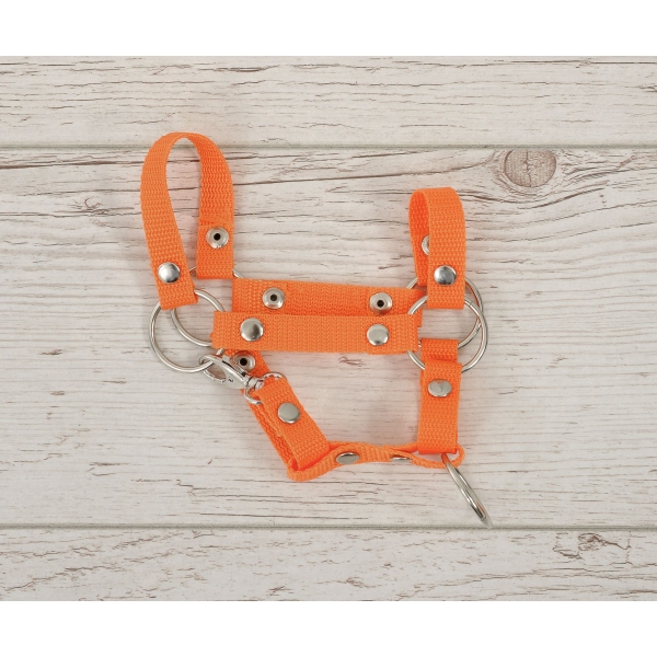 Halfter für Steckenpferd A4 klein - orange