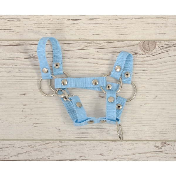 Halfter für Steckenpferd A4 - light blue