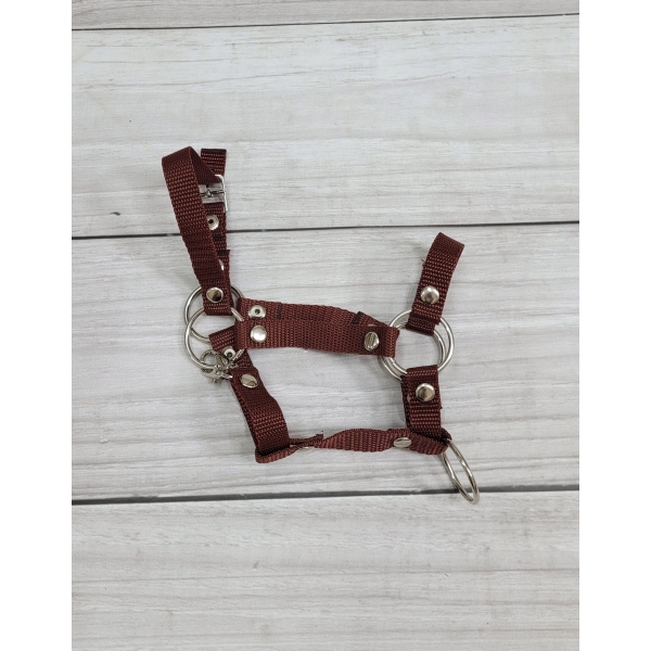 Halfter mit Anbindestrick aus Kordel - braun