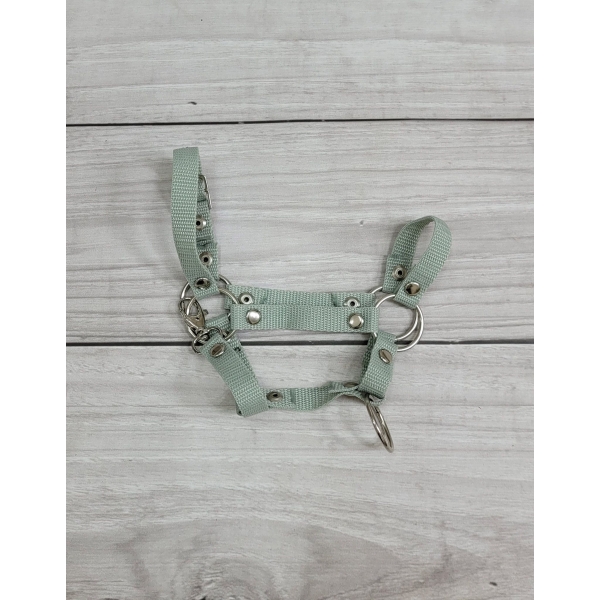 Halfter mit Anbindestrick aus Kordel - sage