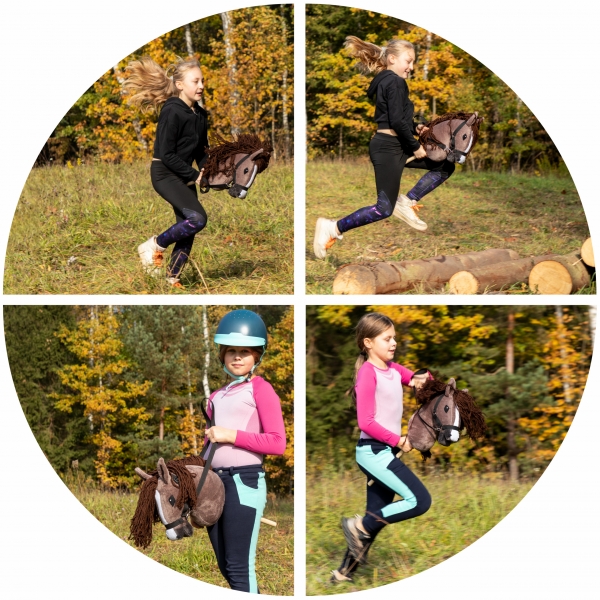 Steckenpferd Hobby Horse für 100 €
