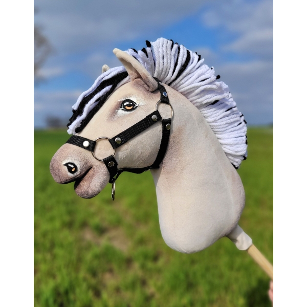 Hobby Horse Steckenpferd Fjordpferd