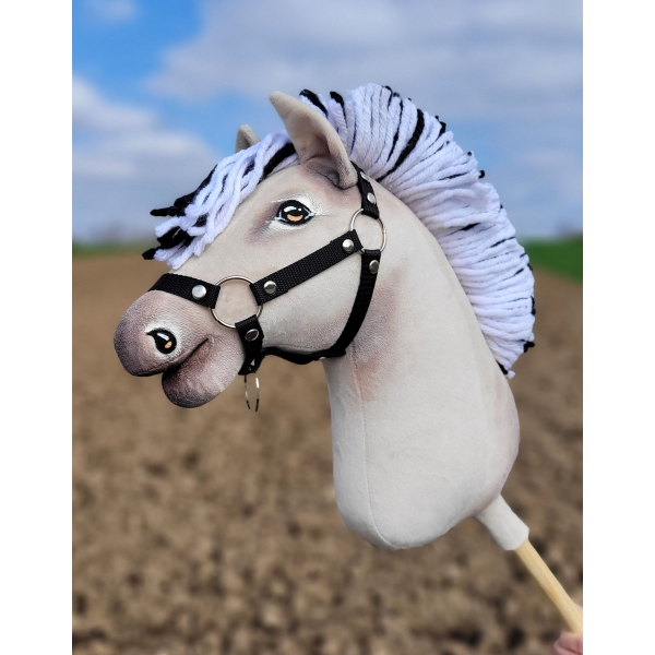 Fjordpferd Hobby Horse A3