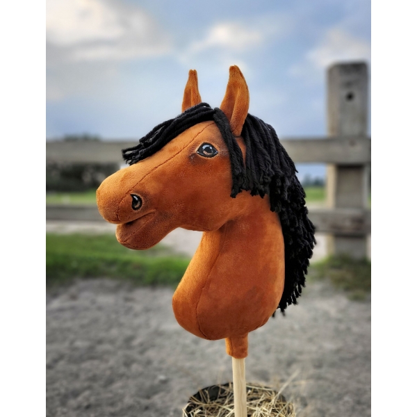 Steckenpferd für 8 9 10 11 jährige