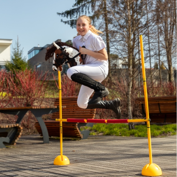 Steckenpferd A3 Weiß Braun Schecke