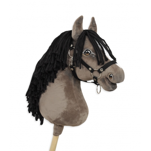 Pferd am Stock zu kaufen