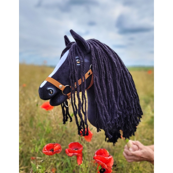 Schwarzes Hobby Horse mit langer Mähne