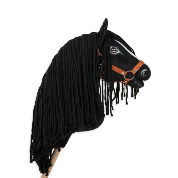 Schwarzes Steckenpferd mit weißer Blesse und lange Mähne