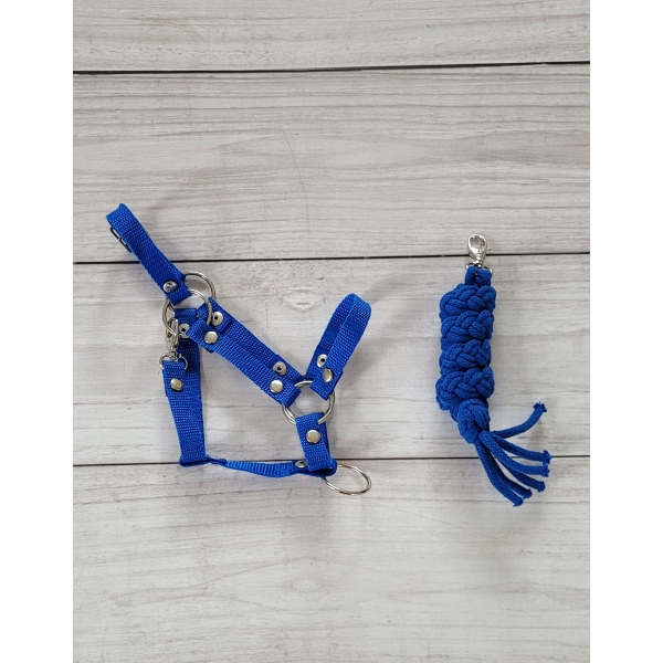 Halfter mit Anbindestrick aus Kordel für Hobby Horse A3 - blau