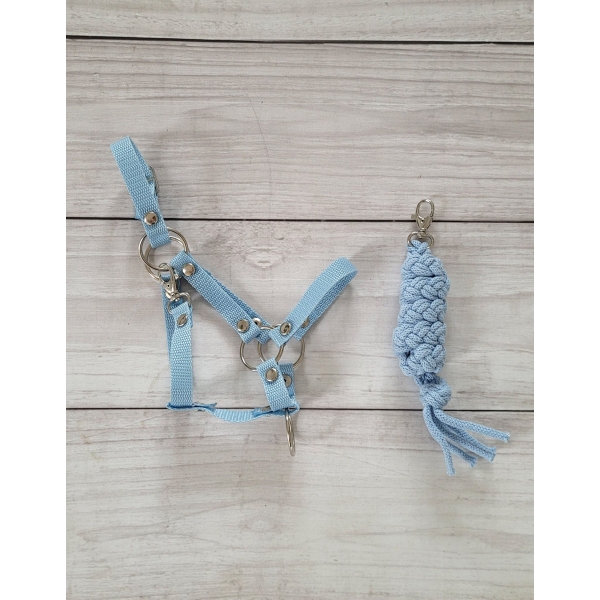 Halfter mit Anbindestrick aus Kordel für Hobby Horse A3 - hellblau