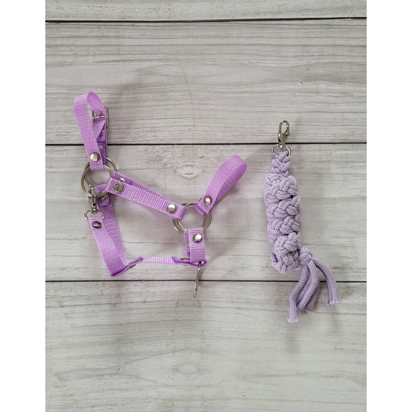 Halfter mit Anbindestrick aus Kordel für Hobby Horse A3 - lila