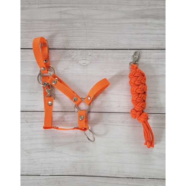 Halfter mit Anbindestrick aus Kordel für Hobby Horse A3 - orange