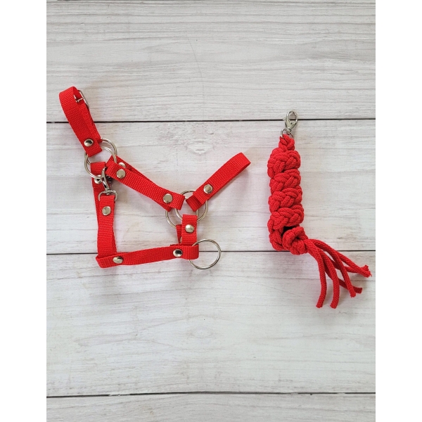 Halfter mit Anbindestrick aus Kordel für Hobby Horse A3 - rot