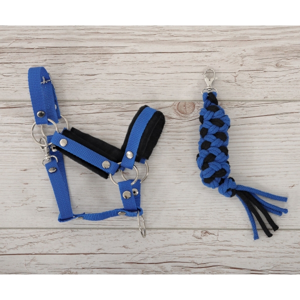 Set  für Steckenpferd: Halfter mit schwarzer Pelz mit Anbindestrick - schwarz-blau