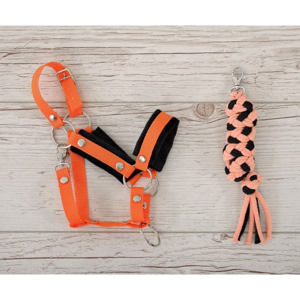 Set  für Steckenpferd: Halfter mit schwarzer Pelz mit Anbindestrick - schwarz-orange