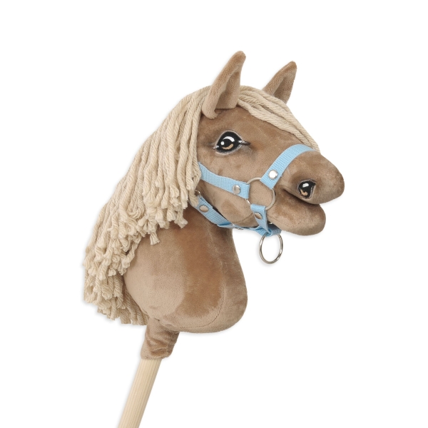 Steckenpferd für Sport