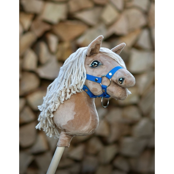 Ein kleines und leichtes Pferd zum Überspringen von Hindernissen