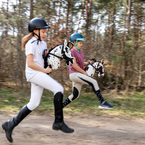 HobbyHorse Weiß Schwarz Schecke A3