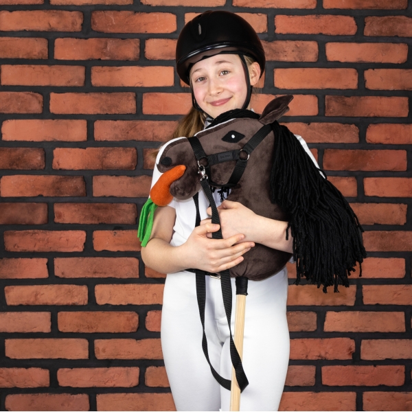 Steckenpferd Leckerlis